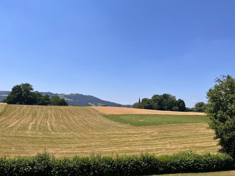 Aussicht