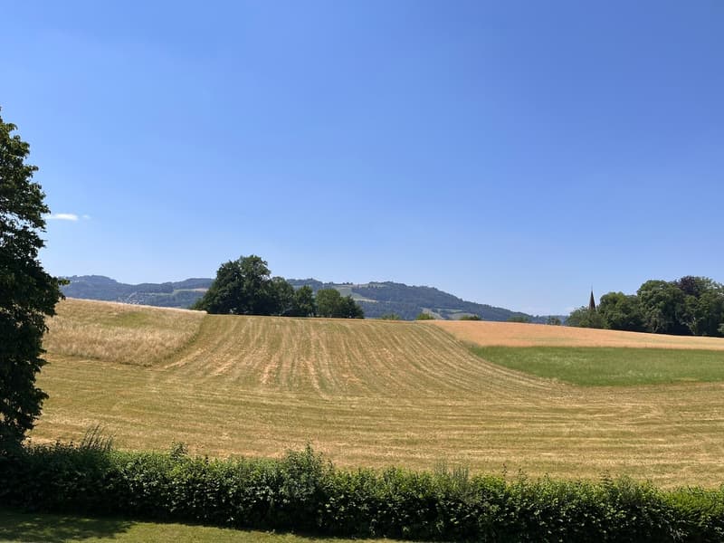 Aussicht