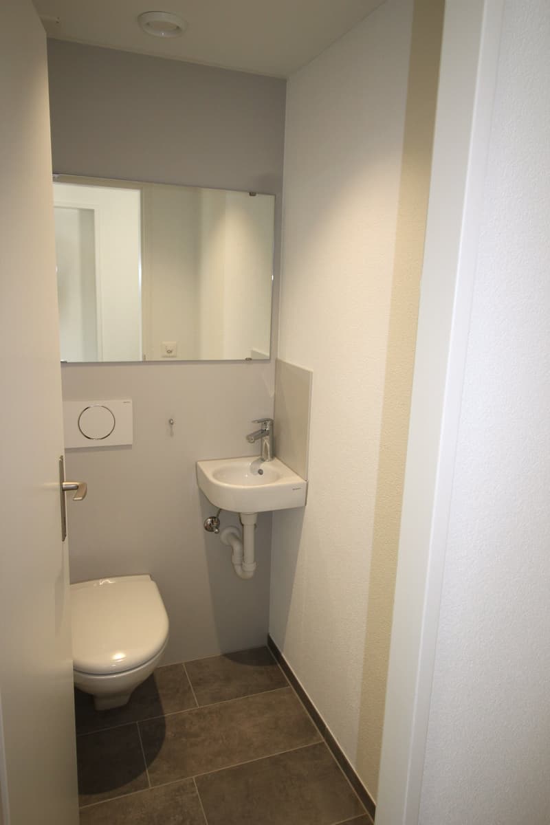 ERSTVERMIETUNG exlusive 3½-Zimmer-Wohnungen im Holligen-Quartier (6)