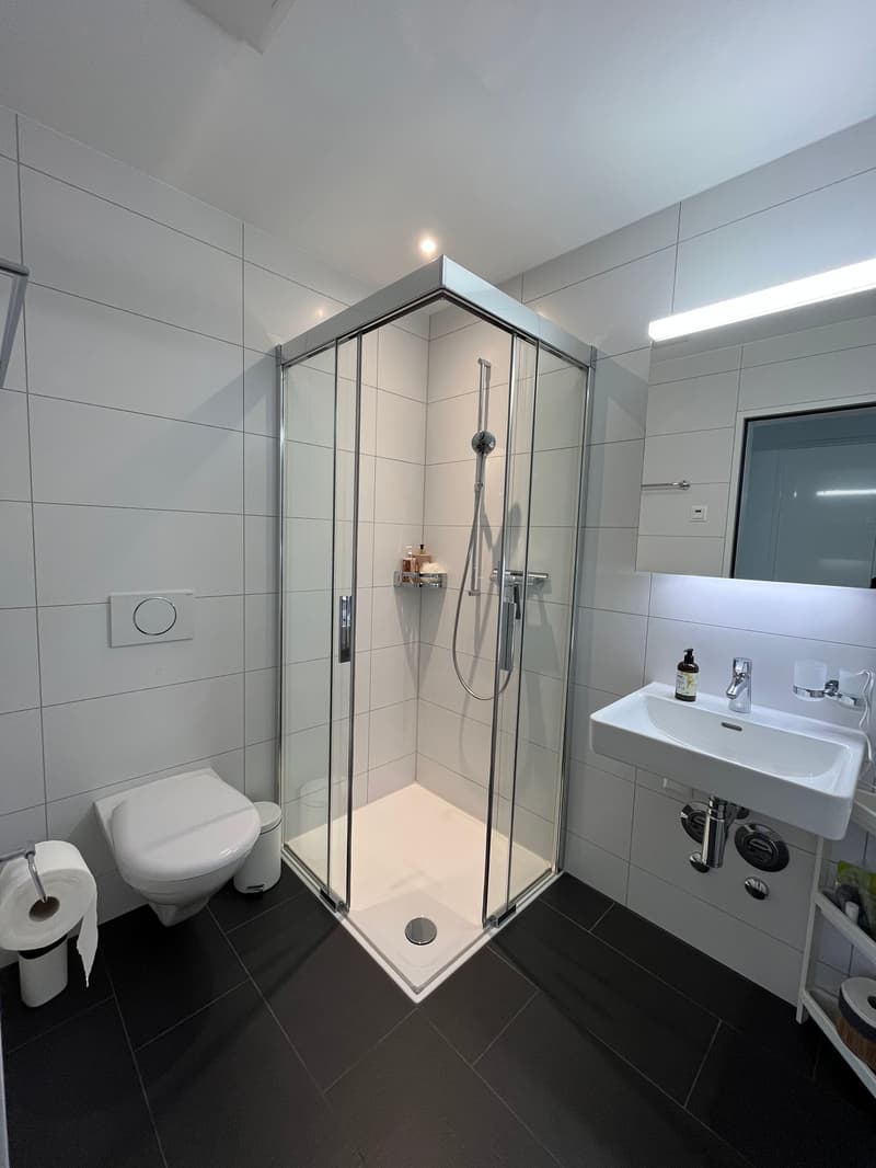 Moderne Traumwohnung im Eigentumsstandard in Stettlen sucht Mieter (3)