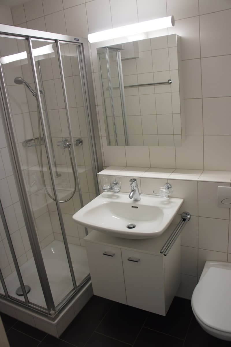 Erdgeschoss-Wohnung in der Länggasse (6)