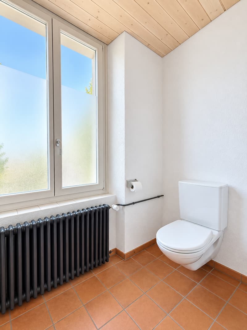 Repräsentative Büroräume in Thun (111m2 - 222m2) (11)