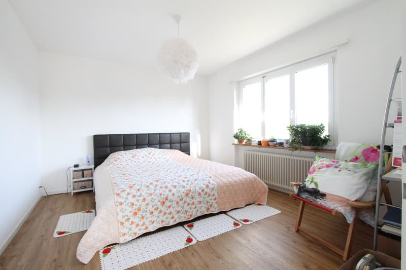 Spacious bedroom with large windows, hardwood flooring, a black upholstered headboard, a floral patterned comforter, and potted plants on the windowsill.