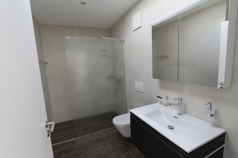 Modern bathroom with white walls, glass shower enclosure, vanity with sink, and built-in storage cabinets