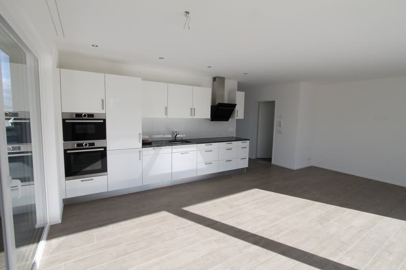 Spacious open-plan kitchen with white cabinets, black countertops, built-in oven and dishwasher, hardwood-style flooring