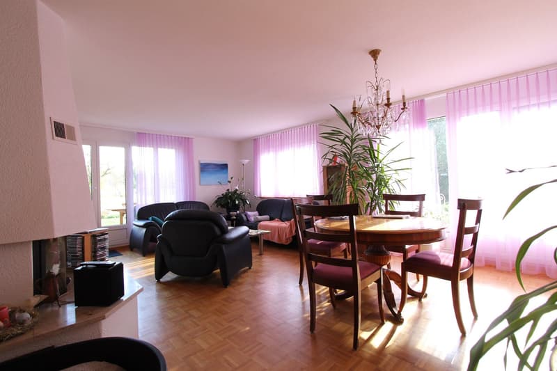 Fireplace, chandelier, wooden floor, round table, chairs, sofa, armchairs, plants, windows with curtains
