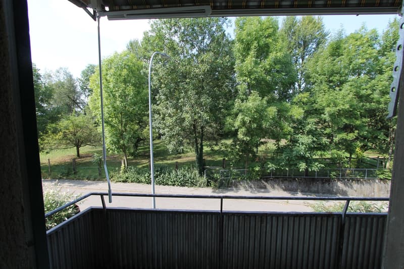 Teilrenovierte 4-Zimmer-Wohnung in Bettlach (8)