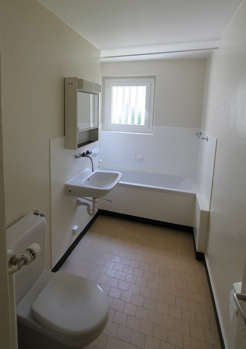 Teilrenovierte 4-Zimmer-Wohnung in Bettlach (3)