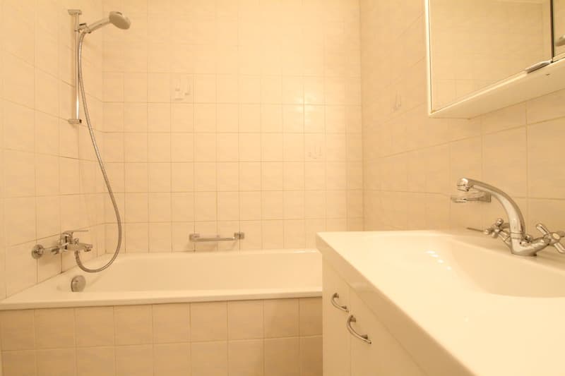 Votre superbe appartement pour une personne (7)