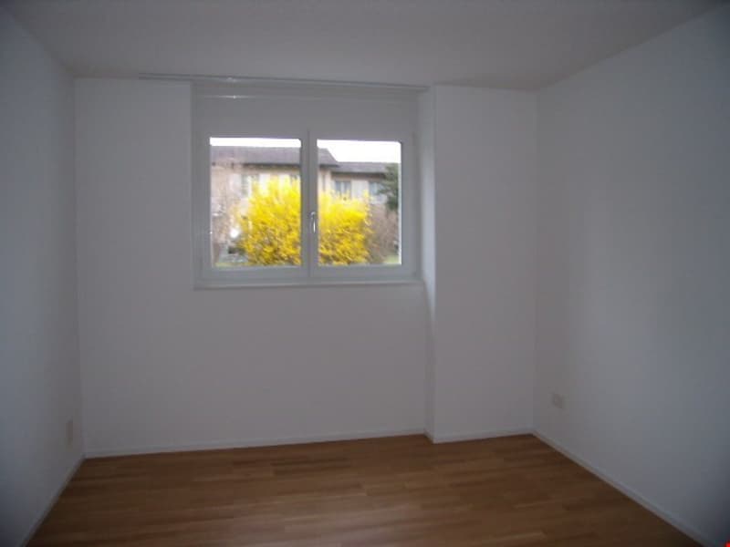Traumwohnung im Bucheggberg zu vermieten (11)
