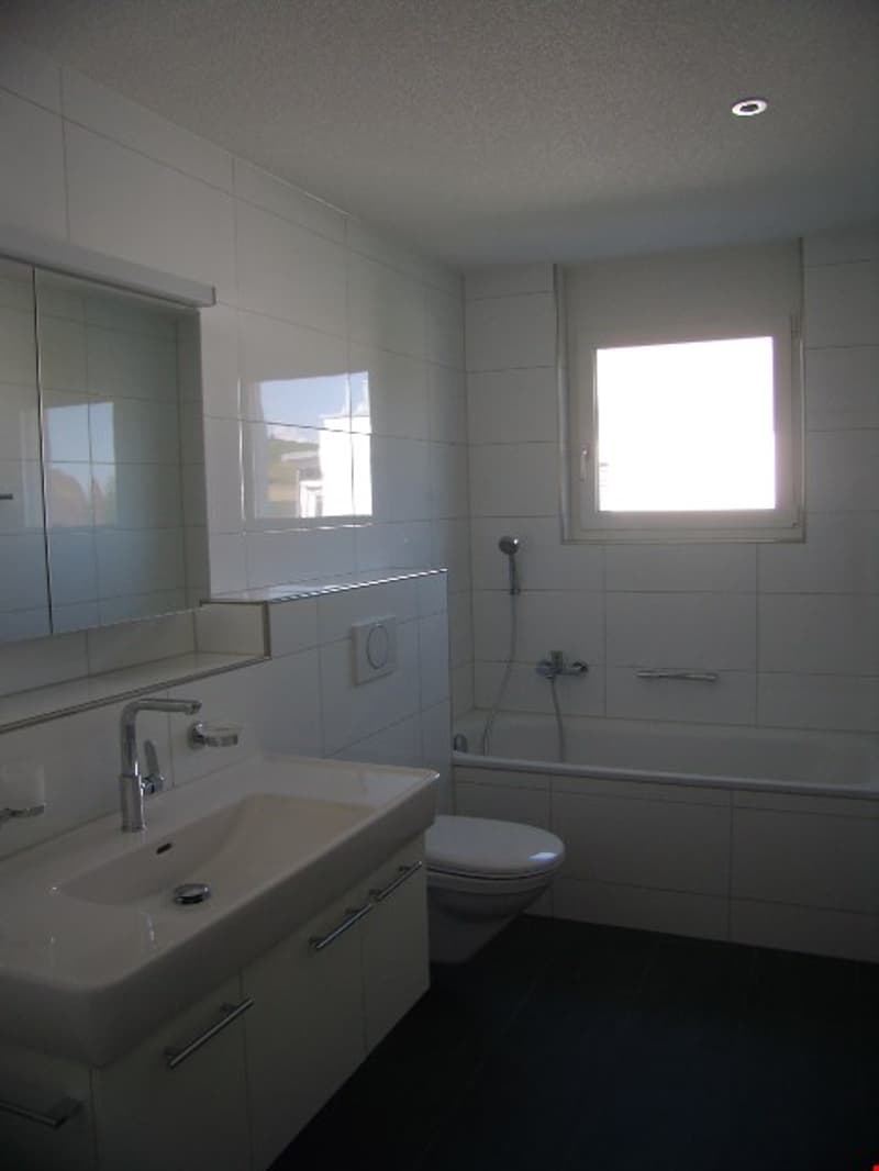 Traumwohnung im Bucheggberg zu vermieten (6)