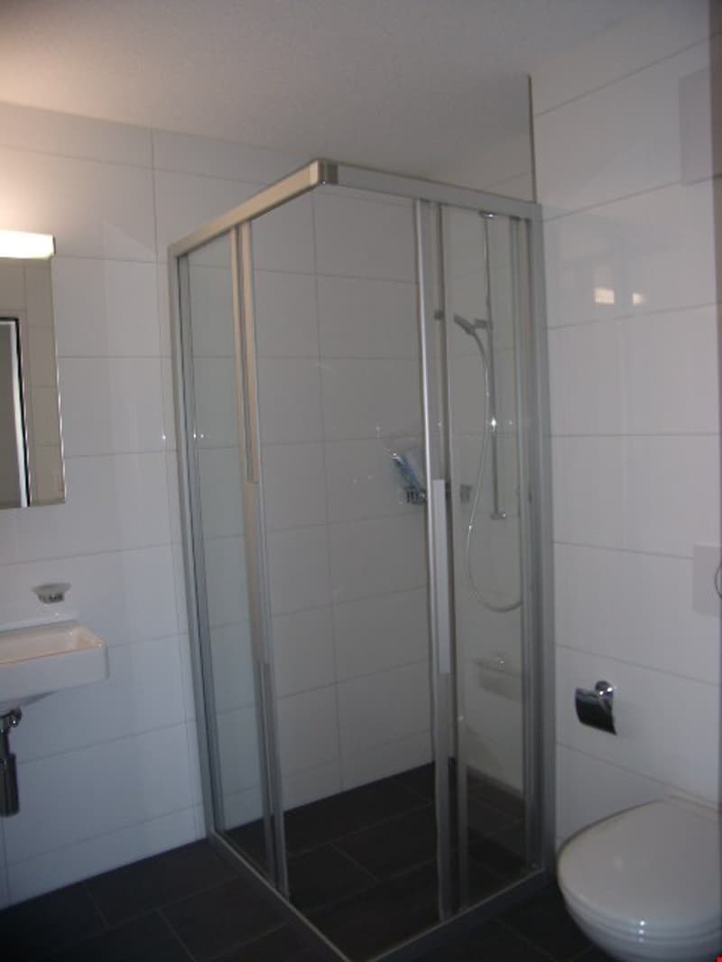 Traumwohnung im Bucheggberg zu vermieten (7)