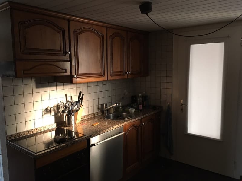 Appartamento accogliente 2 locali (5)