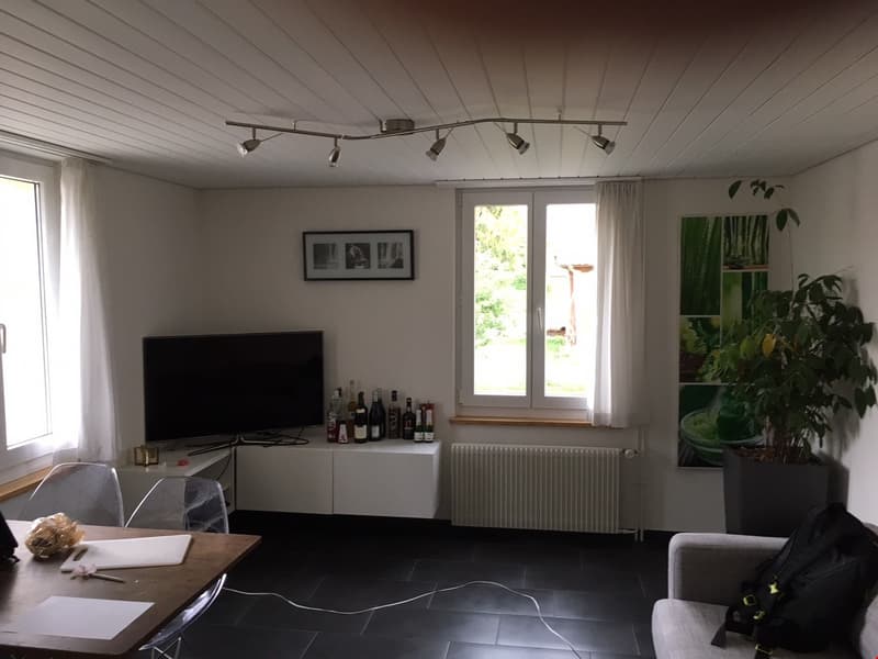 Appartamento accogliente 2 locali (6)