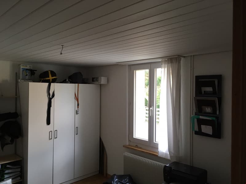 Appartamento accogliente 2 locali (8)