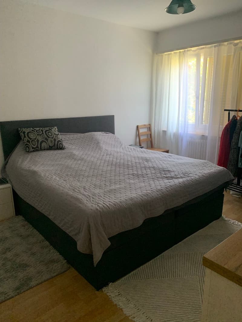 Gemütliche 2-Zimmer-Wohnung im Erdgeschoss in Grenchen (3)