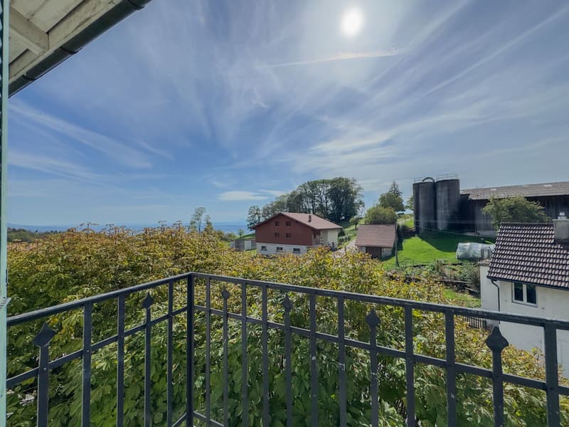 Geräumige Wohnung in beschaulichem Dorf (6)