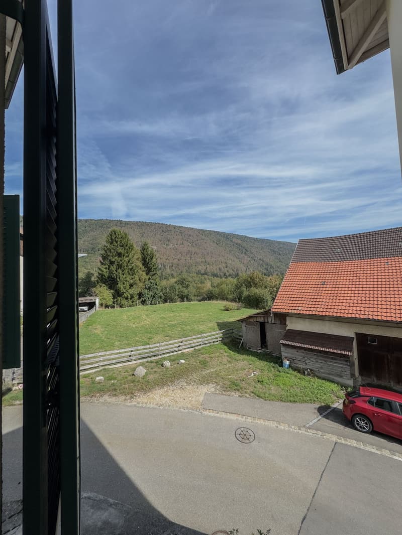Gemütliche 2-Zimmerwohnung in Romont (7)