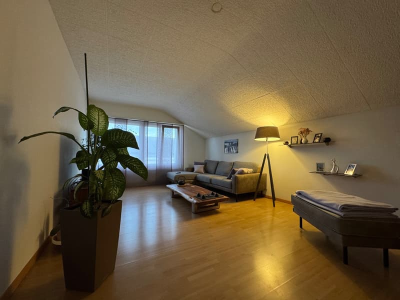 2.5 Zimmer mit traumhafter Aussicht in Bettlach (4)
