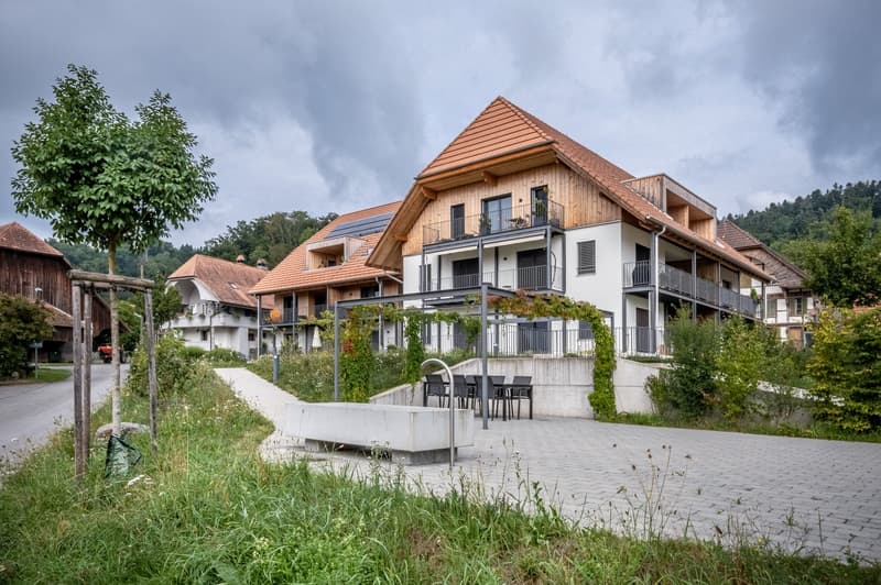 Traumwohnung im Bucheggberg ! (2)