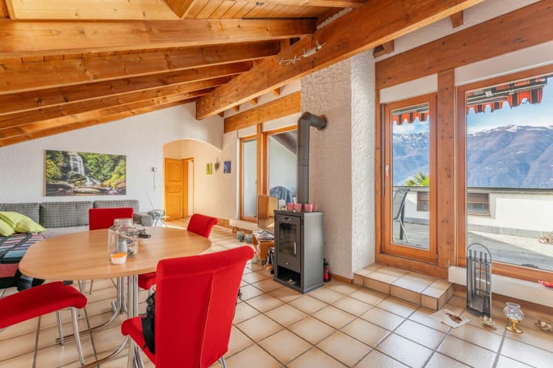 Schwedenofen mit Blick zur Terrasse