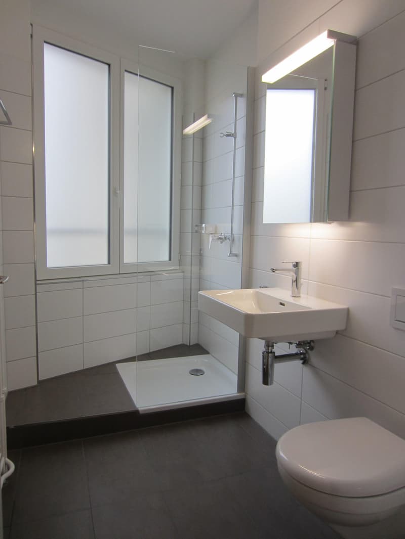 Appartement familial 5.5 pièces avec 125m2 dans le district 6 (7)