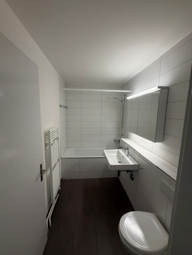 Appartement familial 5.5 pièces avec 125m2 dans le district 6 (6)