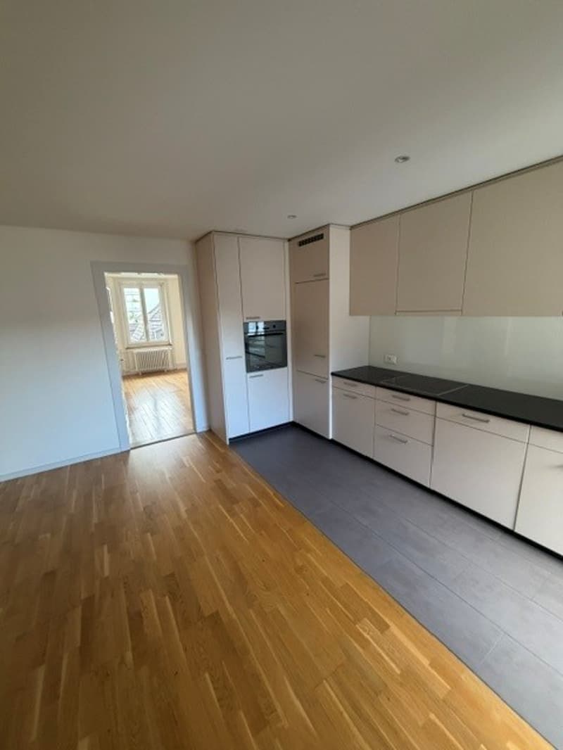 Appartement familial 5.5 pièces avec 125m2 dans le district 6 (5)