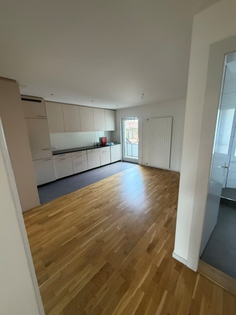 Appartement familial 5.5 pièces avec 125m2 dans le district 6 (4)