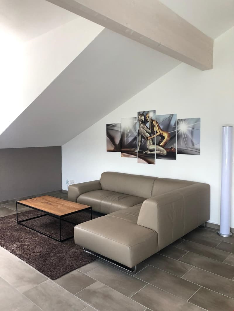Prächtige Attika-Wohnung im modernen Stil (3)