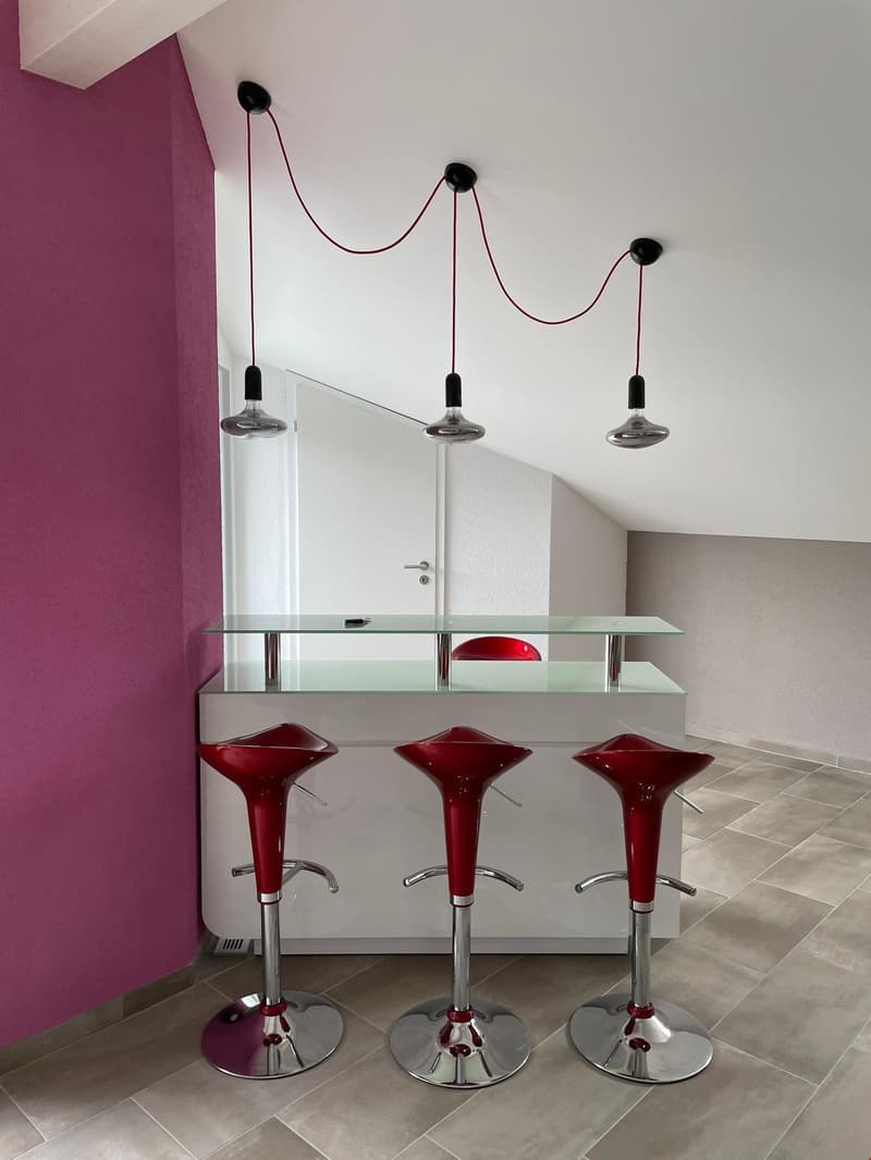 Prächtige Attika-Wohnung im modernen Stil (4)