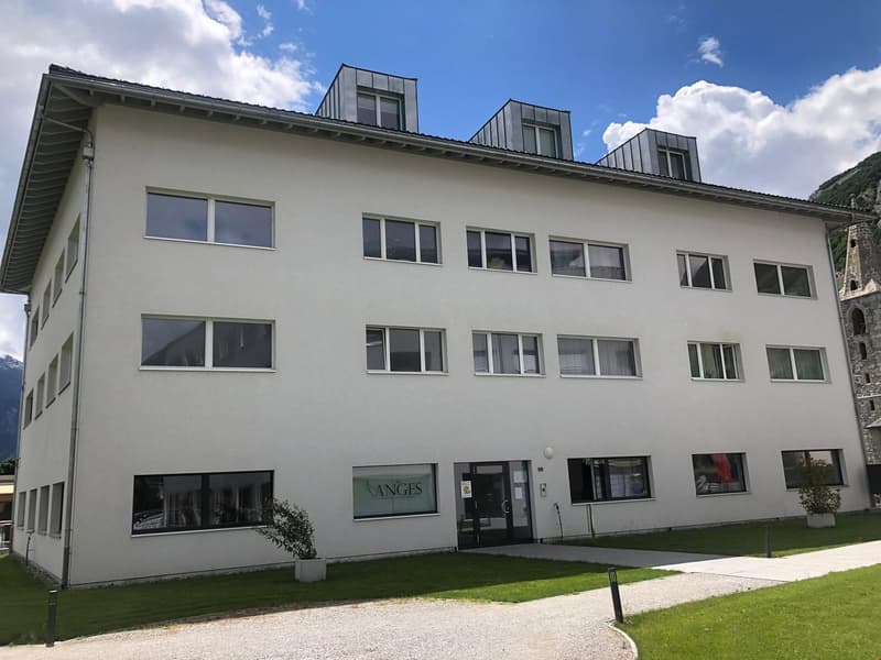 Prächtige Attika-Wohnung im modernen Stil (9)