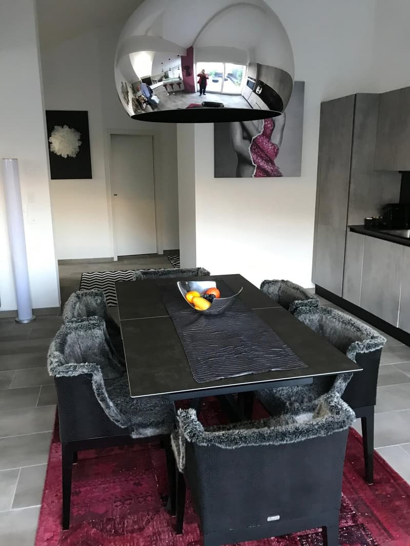 Prächtige Attika-Wohnung im modernen Stil (6)