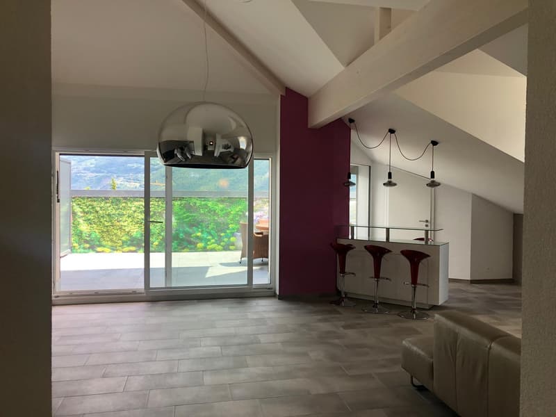 Prächtige Attika-Wohnung im modernen Stil (5)