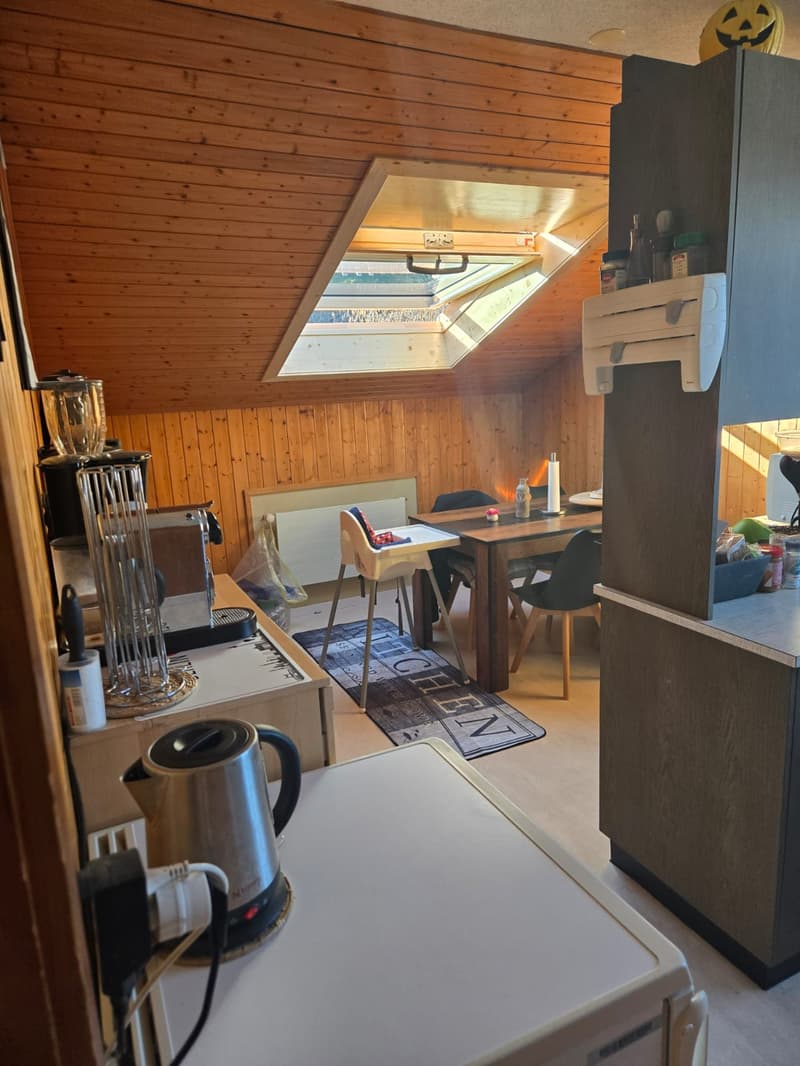 Charmante 2-Zimmer-Dachwohnung in ruhiger Lage am Schwarzsee (12)