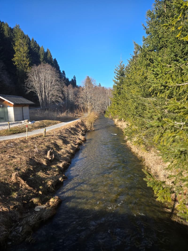 Charmante 2-Zimmer-Dachwohnung in ruhiger Lage am Schwarzsee (4)