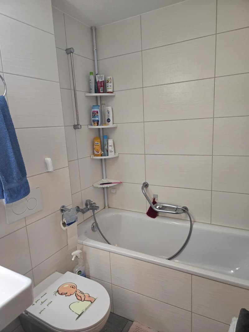 Charmante 2-Zimmer-Dachwohnung in ruhiger Lage am Schwarzsee (18)