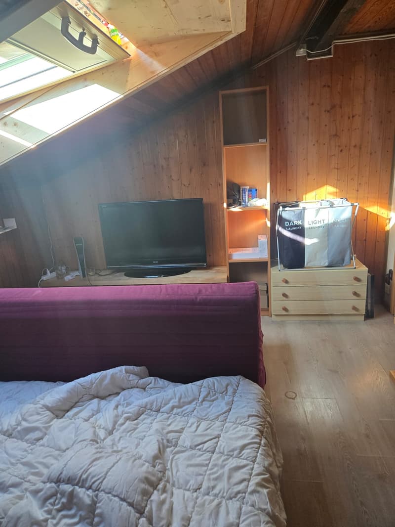 Charmante 2-Zimmer-Dachwohnung in ruhiger Lage am Schwarzsee (15)