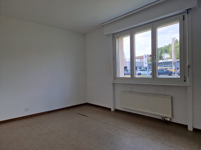 Helle 4.5 Zimmerwohnung im 2. Stock (ohne Lift) mit Ausblick (11)