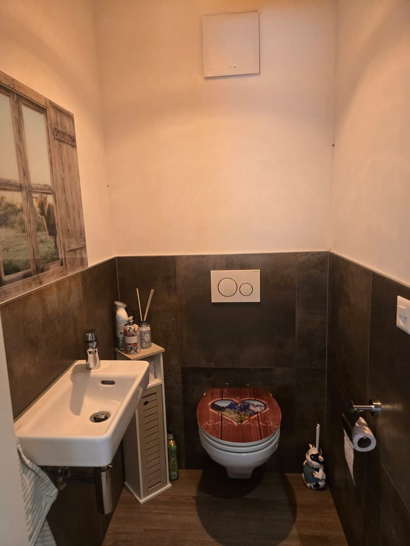 Charming 4.5-room ground-floor apartment in Düdingen (14)