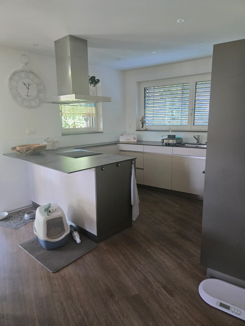 Charming 4.5-room ground-floor apartment in Düdingen (4)