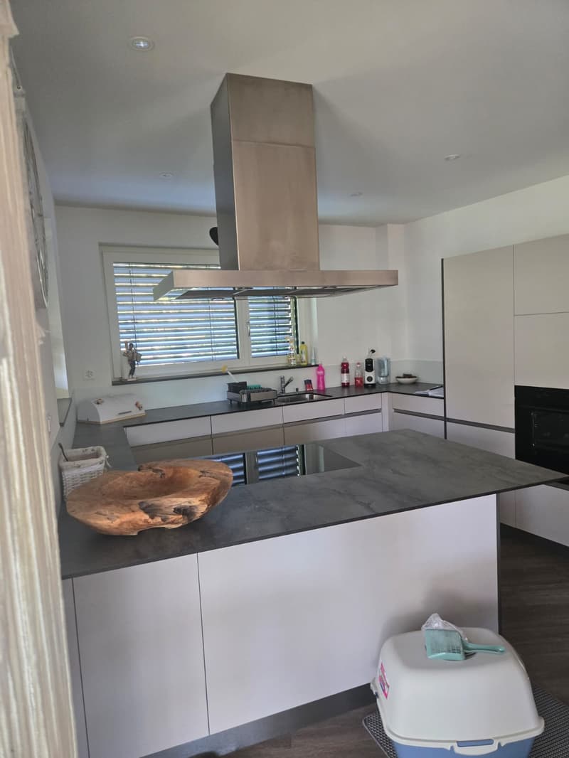 Charming 4.5-room ground-floor apartment in Düdingen (3)