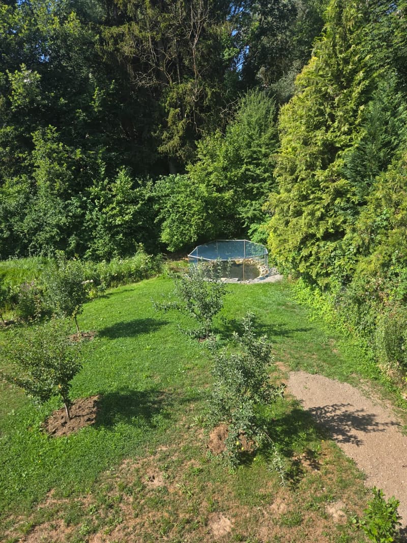 Charming 4.5-room ground-floor apartment in Düdingen (2)