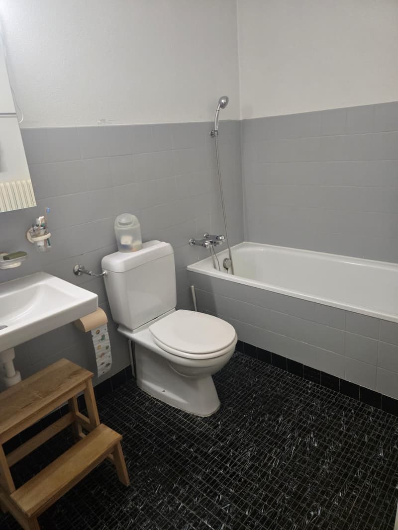 Maison mitoyenne spacieuse de 4,5 pièces dans un quartier calme (15)