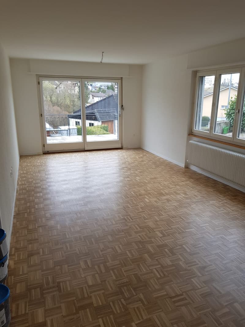 Grosszügiges 4.5-Zimmer-Doppel-Einfamilienhaus in ruhigem Quartier (7)