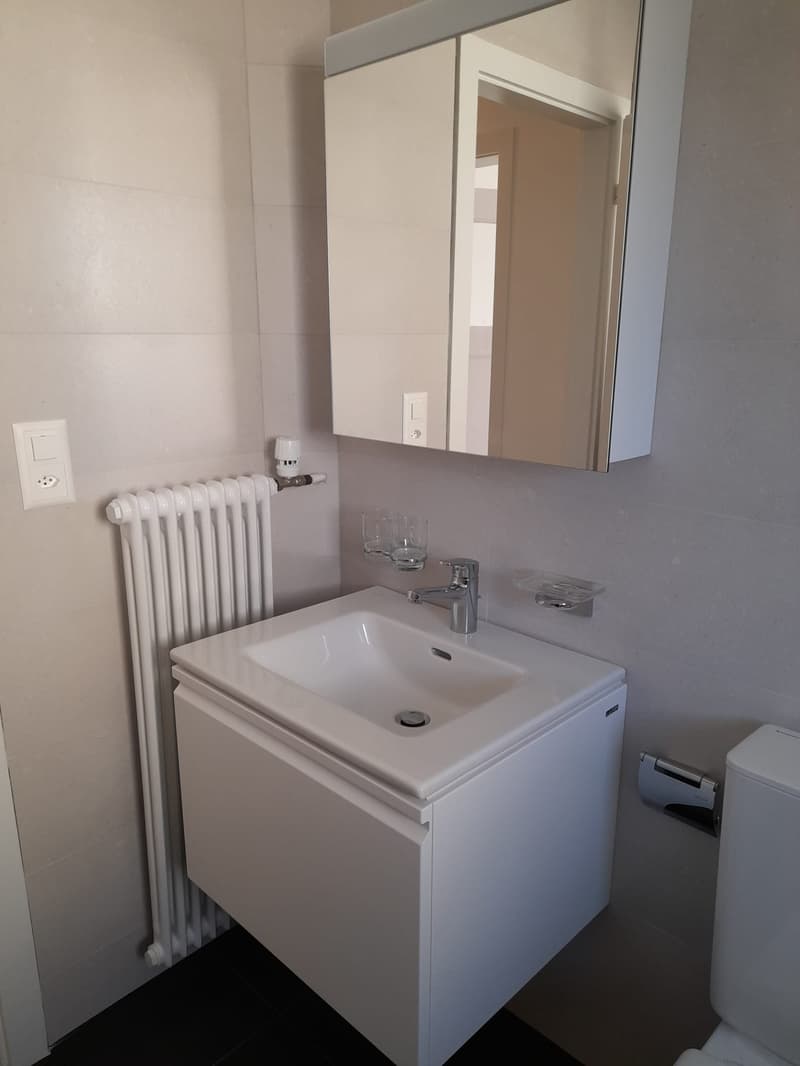 Moderne 3-Zimmer-Wohnung mit Balkon in Wünnewil (3)