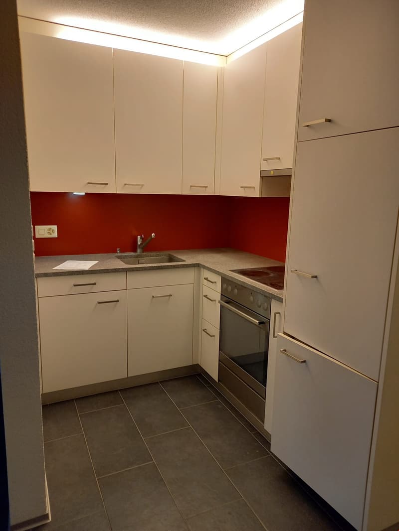 1 1/2 Zimmerwohnung an ruhiger Lage (4)