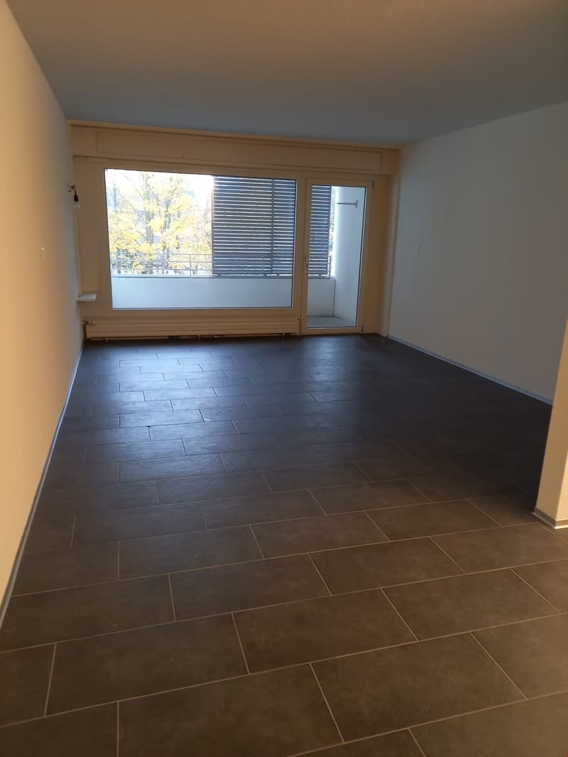 1 1/2 Zimmerwohnung an ruhiger Lage (5)