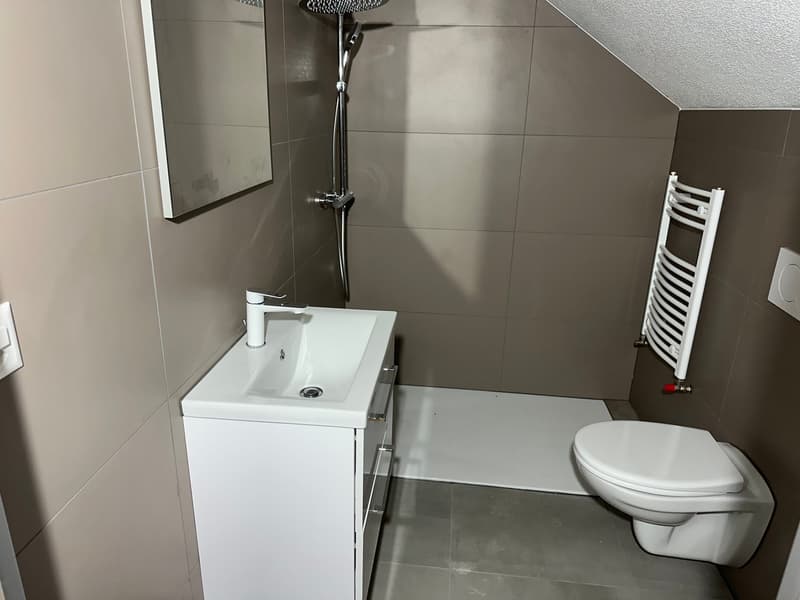 Spacious, completely renovated 5-room apartment in the heart of Aarwangen (3)
