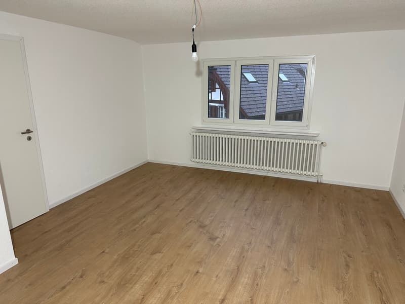Spacious, completely renovated 5-room apartment in the heart of Aarwangen (7)